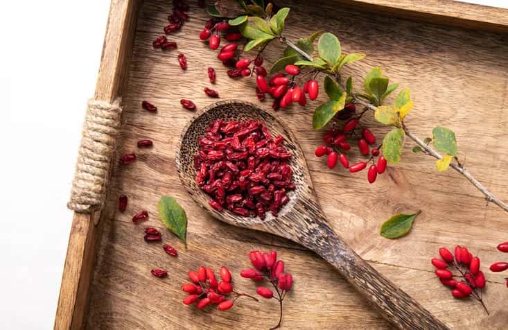 زرشک پفکی مشهد ممتاز صادراتی بسته‌ بندی لوکس